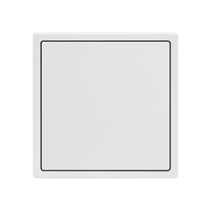 Blank Panel White