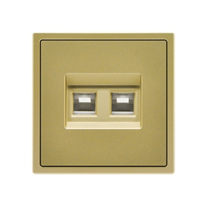 Dual CAT 6 (DATA) Gold