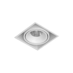 NORDEL White (Triac)