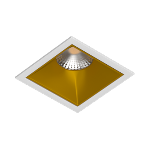 RISE KIT1 White-Gold