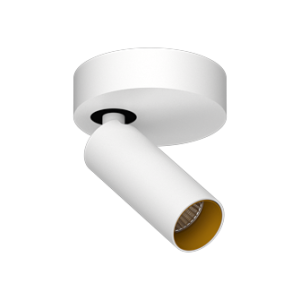 SAGITONY R1 S40 W-Gl