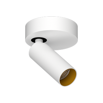 SAGITONY R1 S40 W-Gl