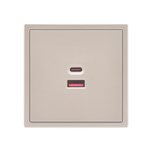 USB Socket A+C 65W Cashmere