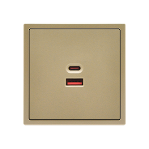 USB Socket A+C 65W Gold