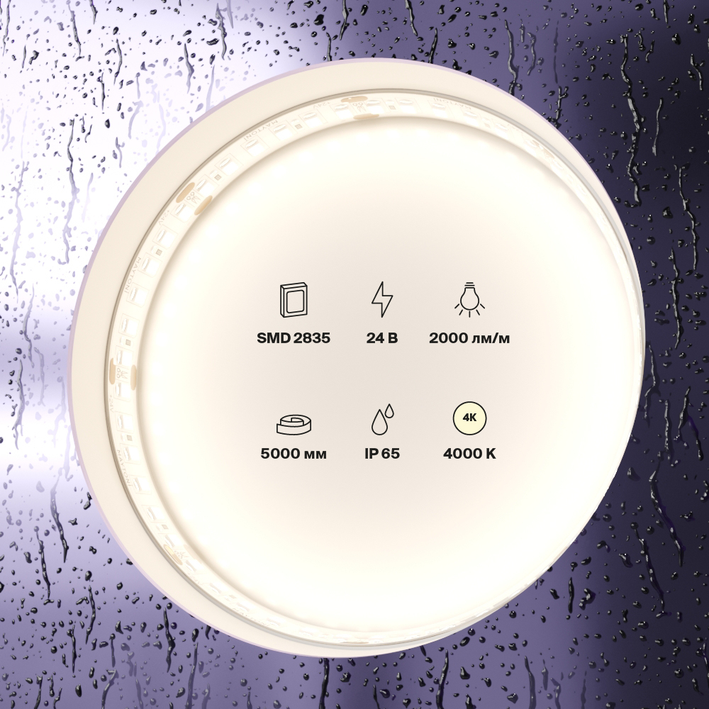 Светодиодная лента 24В 2835 20Вт/м 4000K 5м IP65 Светодиодная лента Led Strip 10158 — изображение 2