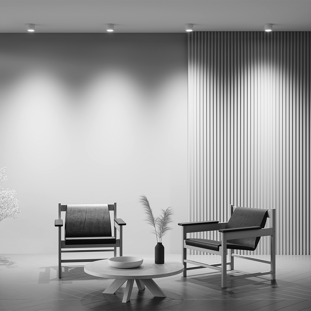 Потолочный светильник Rendo GX53 12Вт IP44 Потолочный светильник Technical C095CL-GX53-W — изображение 4