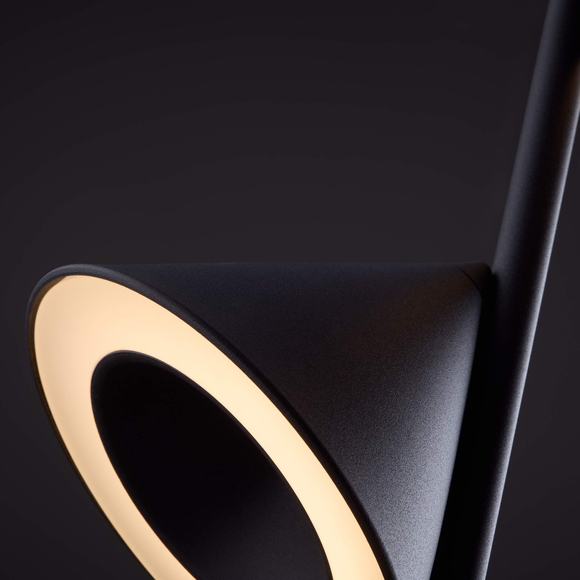 Подвесной светильник Freya FR6141PL-L14B — изображение 2