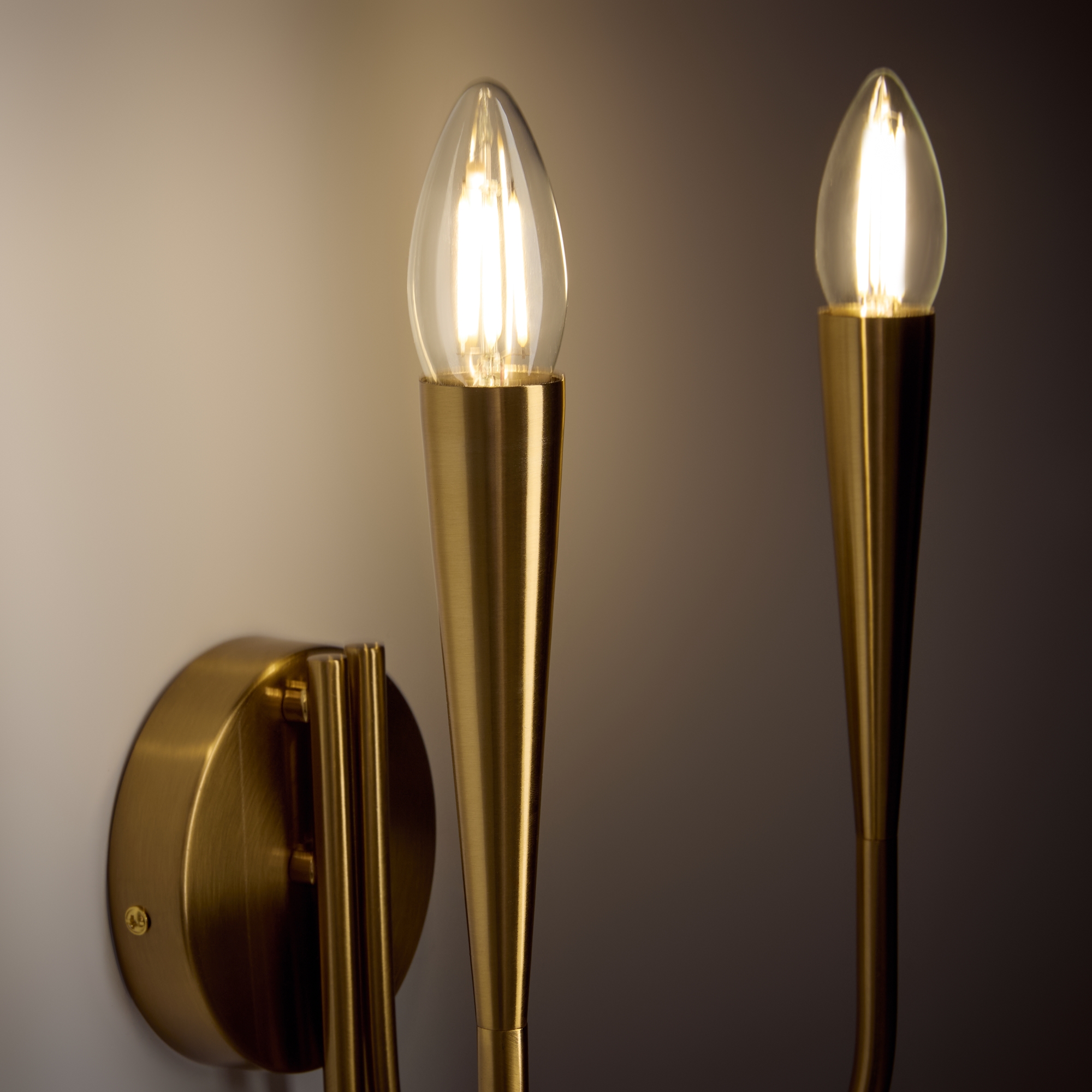 Настенный светильник (бра) Freya FR5253WL-02BS — изображение 2