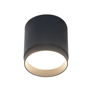 Потолочный светильник Polar GX53 1x12Вт Потолочный светильник Technical C088CL-GX53-B