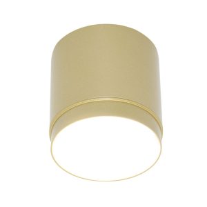 Потолочный светильник Polar GX53 1x12Вт Потолочный светильник Technical C088CL-GX53-MG