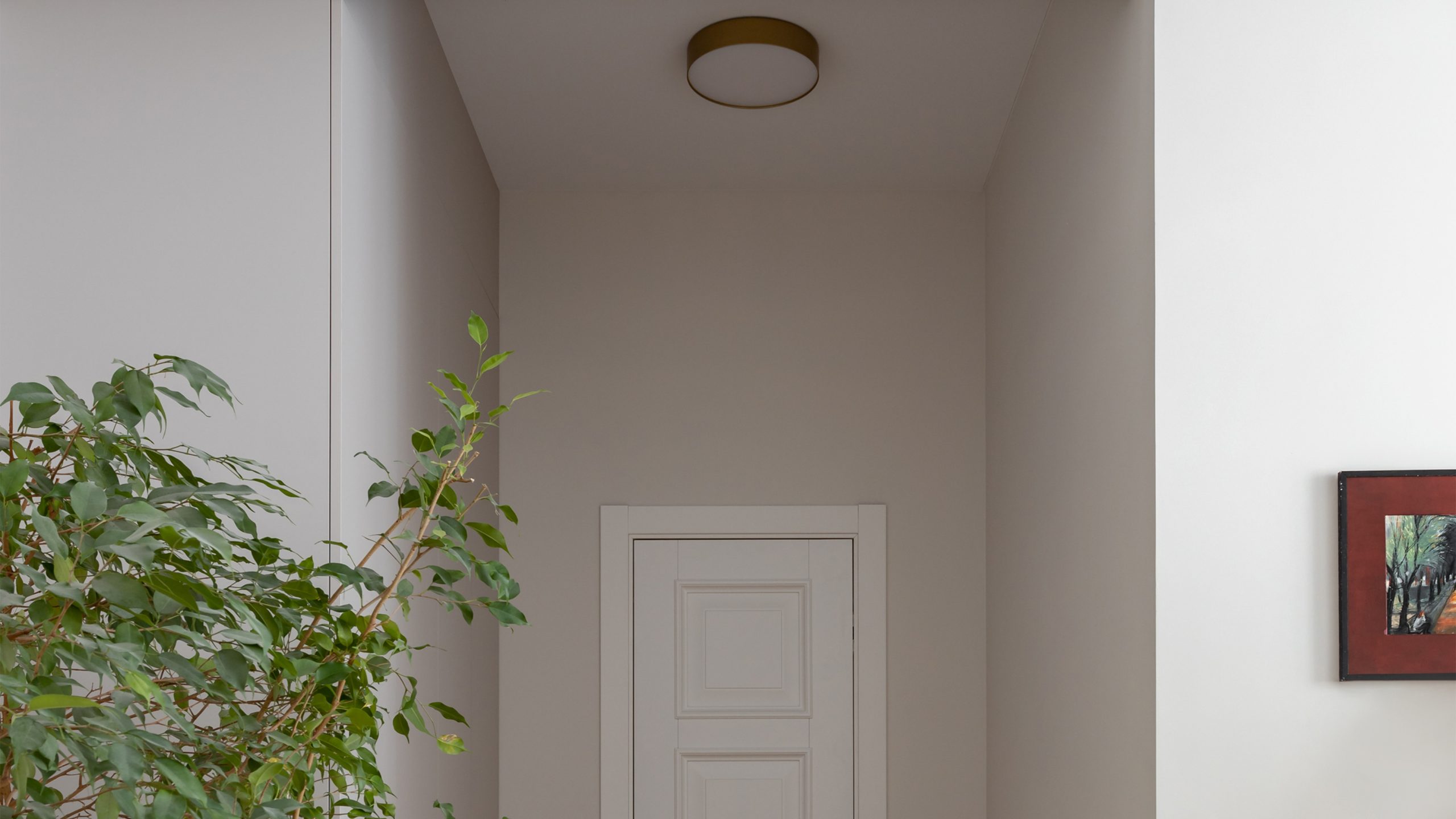 Потолочный светильник Zon 4000K 36W 120° Потолочный светильник Technical C032CL-36W4K-RD-MG — изображение 4