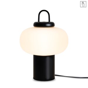 Настольный светильник Freya FR6175TL-L10B