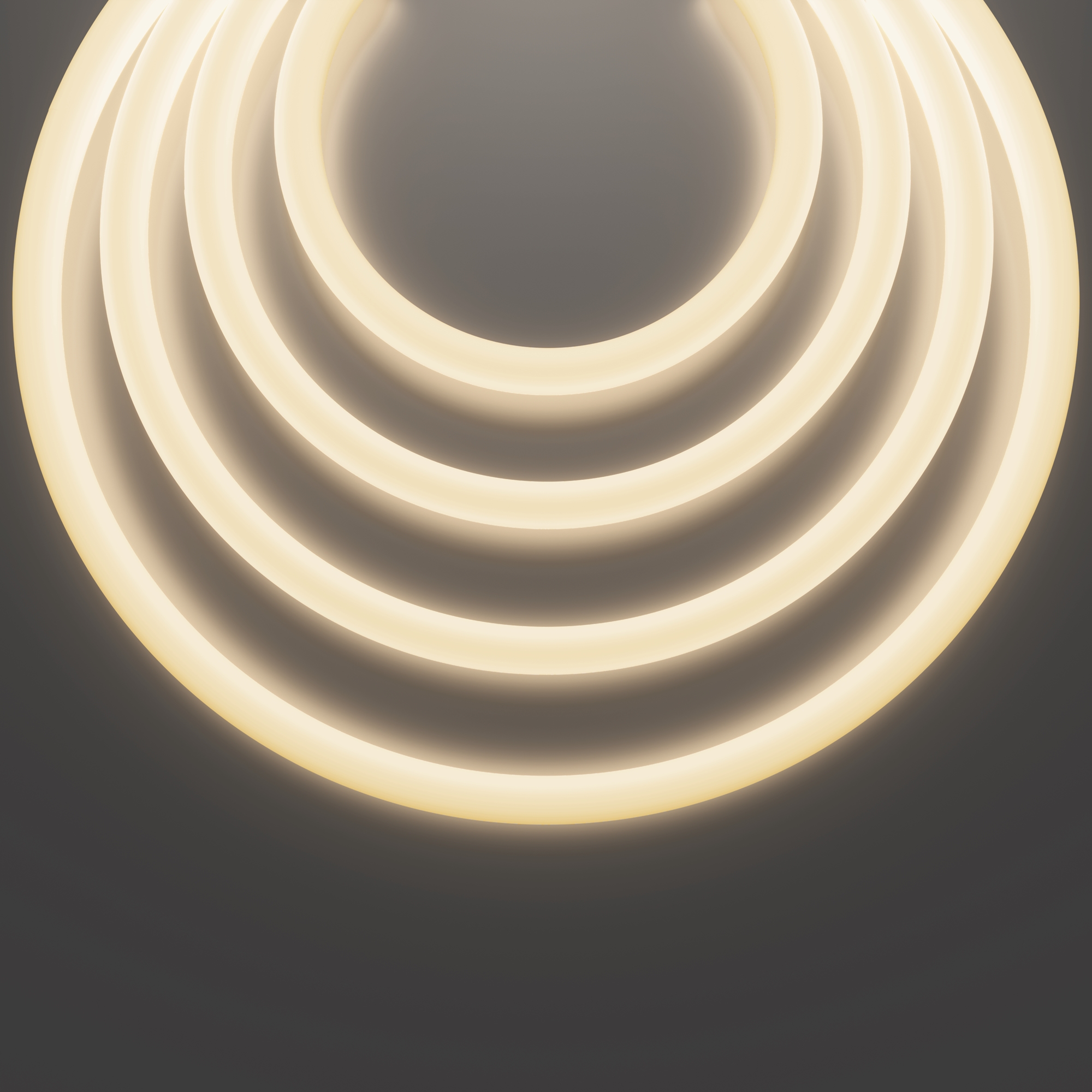 Гибкий неон Nemo D25 48В 12,5Вт/м 3000К IP65 20м Гибкий неон Led Strip 433001 — изображение 3