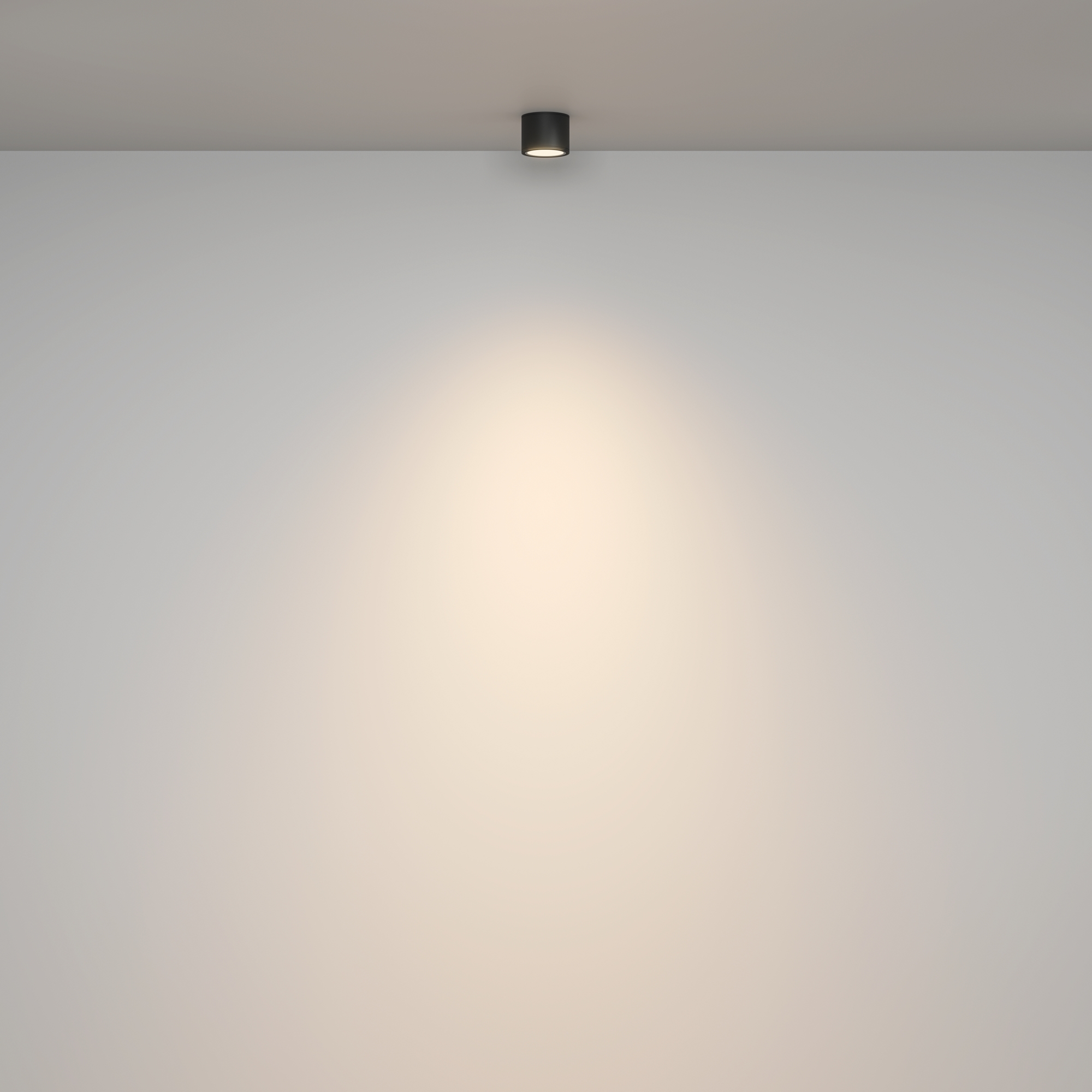 Потолочный светильник Rendo GX53 12Вт IP44 Потолочный светильник Technical C095CL-GX53-B — изображение 3