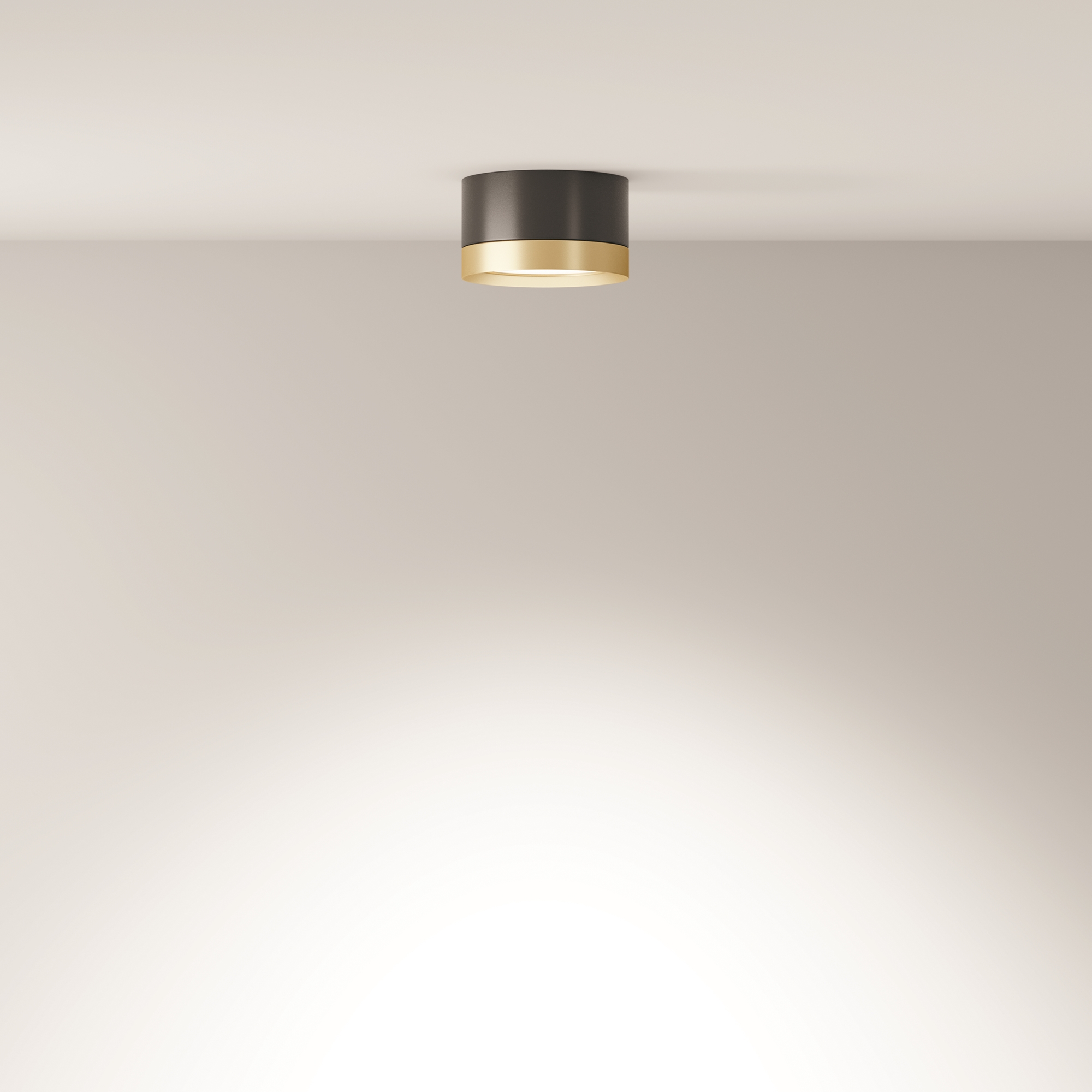 Потолочный светильник Hoop GX53 12Вт Потолочный светильник Technical C086CL-GX53-SRD-BG — изображение 2