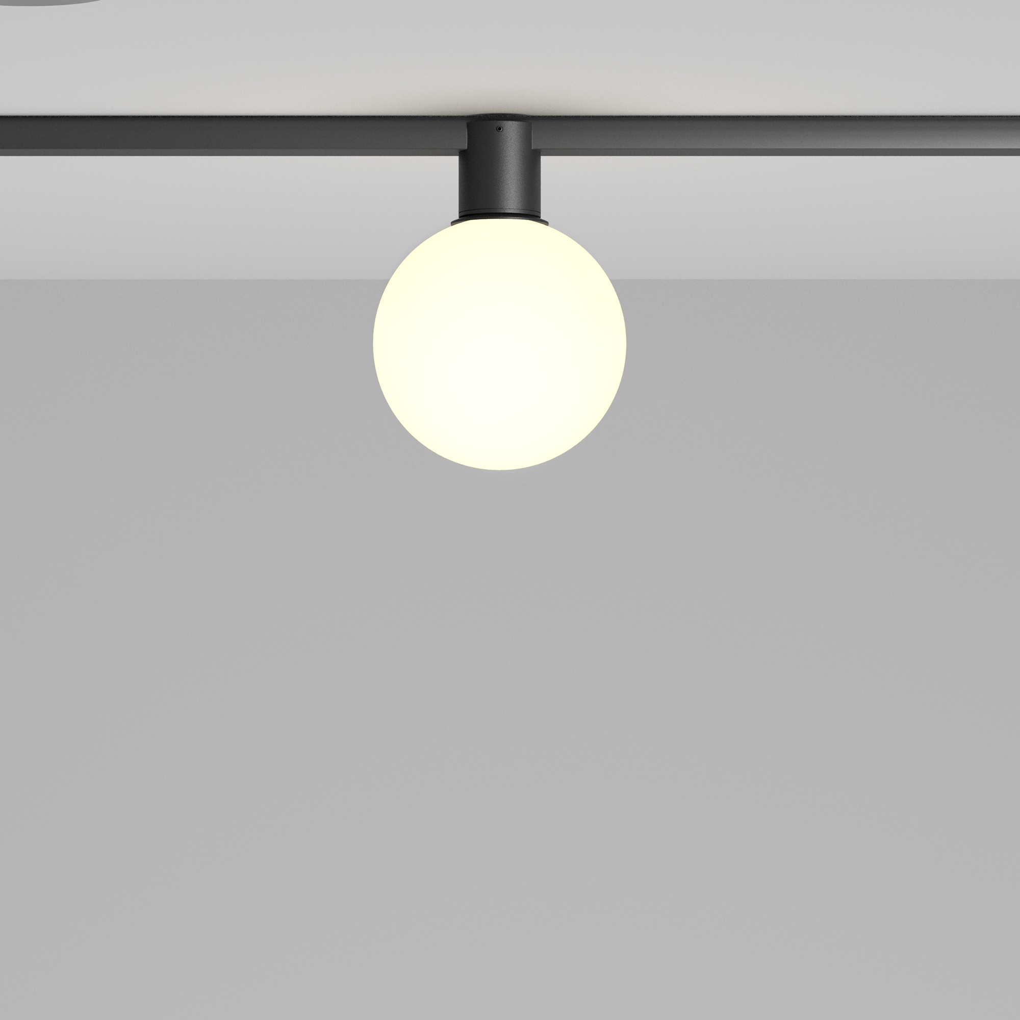 Трековый светильник Luna Elasity 3000К 5Вт 360° Трековый светильник Technical TR171-1-5W3K-WB — изображение 3