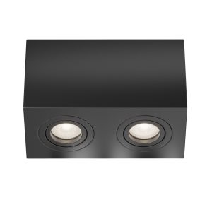 Потолочный светильник Atom GU10 2x10Вт Потолочный светильник Technical C017CL-02B