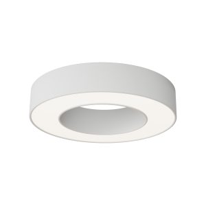 Потолочный светильники Lua 4000К 24Вт 120° Потолочный светильник Technical C093CL-24W4K-W