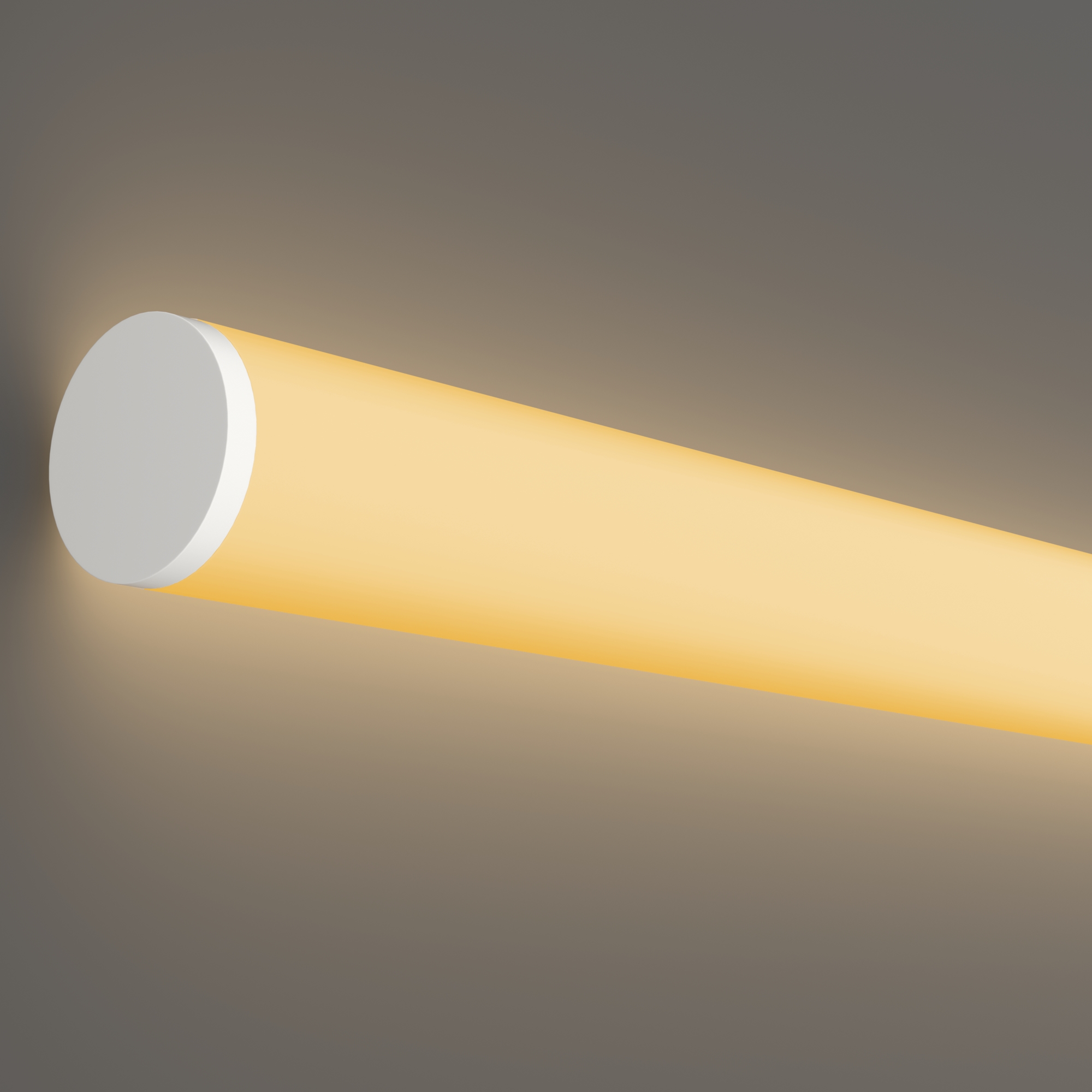 Гибкий неон Nemo D25 24В 14,4Вт/м 2700К IP65 5м Гибкий неон Led Strip 20300 — изображение 3