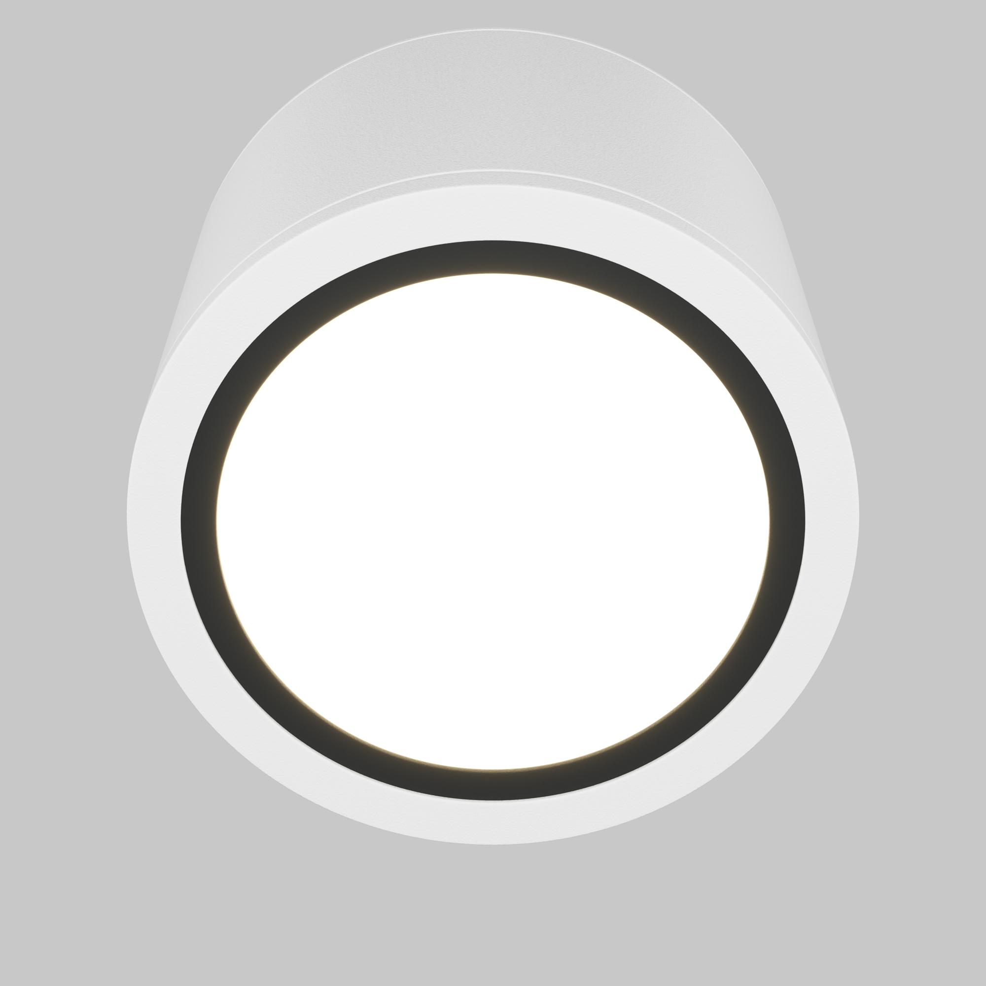 Потолочный светильник Rendo GX53 12Вт IP44 Потолочный светильник Technical C095CL-GX53-W — изображение 2