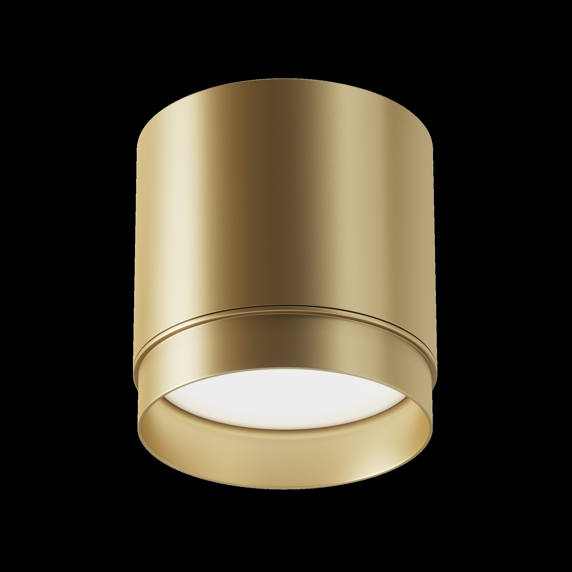 Потолочный светильник Polar GX53 1x12Вт Потолочный светильник Technical C088CL-GX53-MG — изображение 3