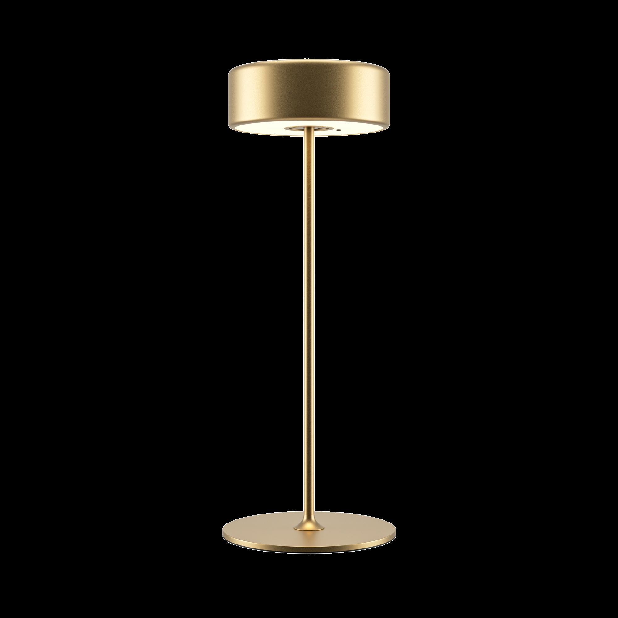 Аккумуляторный светильник AI Collaboration 2200-4000К 3Вт Аккумуляторный светильник Maytoni MOD229TL-L3G3K2 — изображение 3