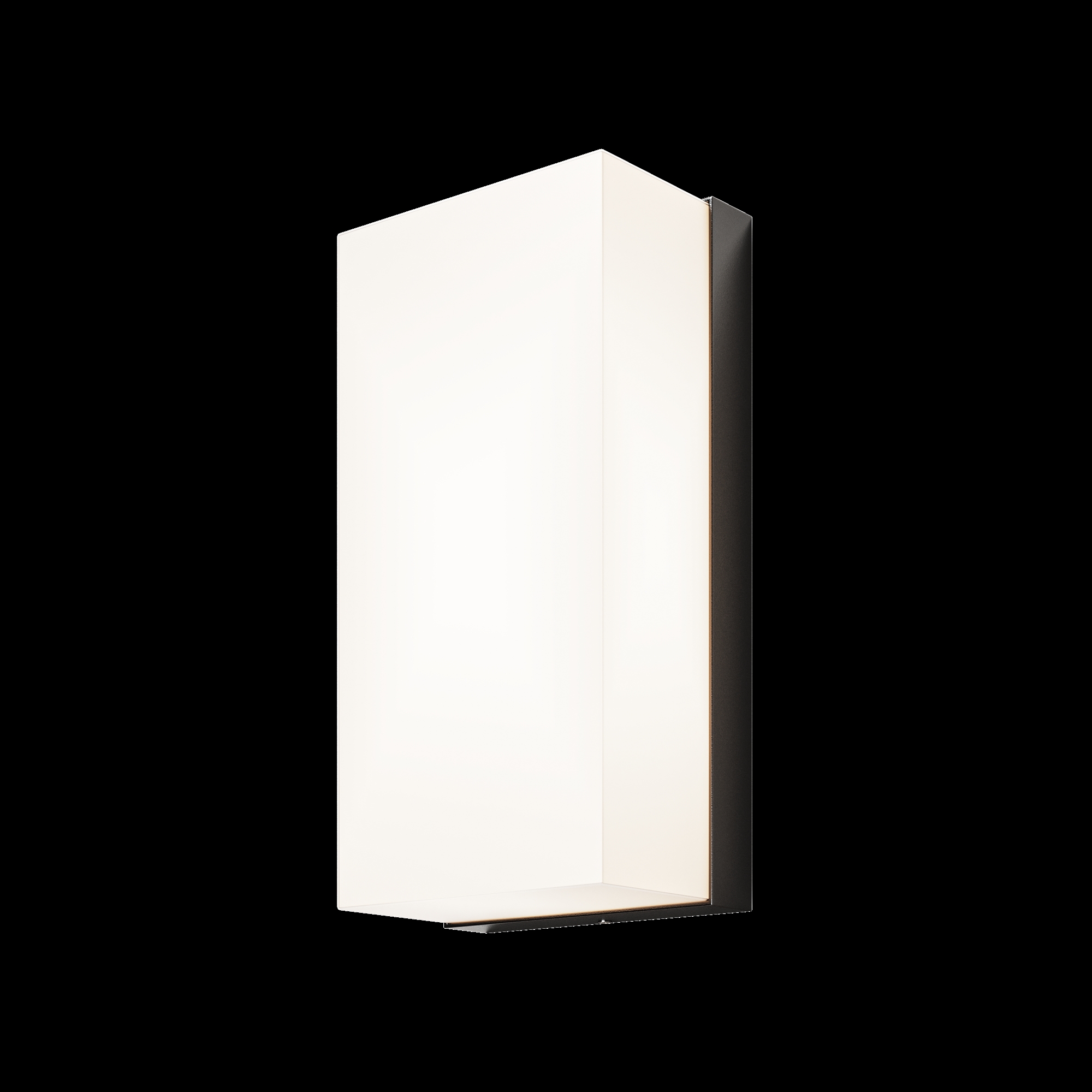 Настенный светильник (бра) Badd 3000K 10Вт IP 54 Уличный настенный светильник Outdoor O454WL-L10GF3K — изображение 3