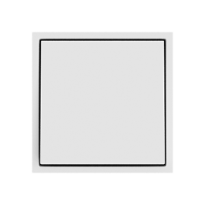 Выключатель одноклавишный звонкового типа