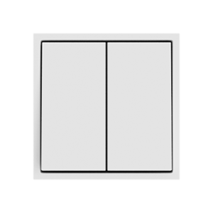 Выключатель двухклавишный звонкового типа