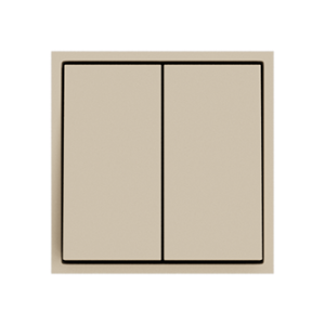 Выключатель двухклавишный звонкового типа