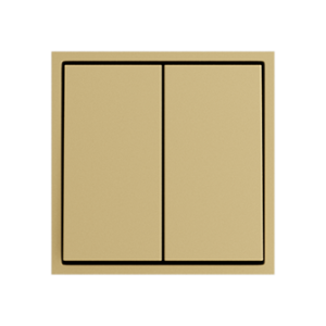 Выключатель двухклавишный звонкового типа