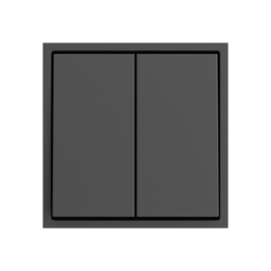 Выключатель двухклавишный звонкового типа