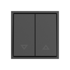 Двухклавишный жалюзийный выключатель