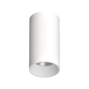 Накладной светильник под  сменную лампу Ledron MJ-1179 White