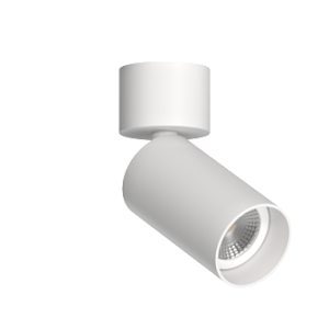 Накладной поворотный светильник под сменную лампу Ledron MJ-1184 White