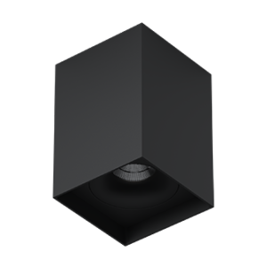 Накладной светильник под сменную лампу Ledron MJ1021GW Black