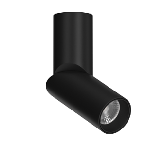 Накладной поворотный светильник под сменную лампу Ledron MJ1402 Black