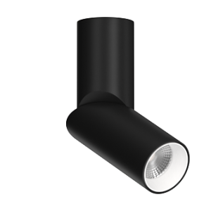 Накладной поворотный светильник под сменную лампу Ledron MJ1402 Black-White