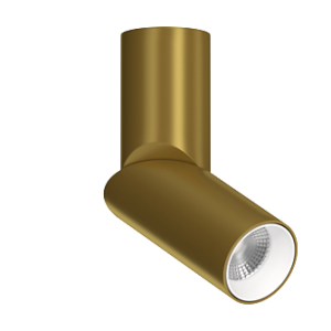 Накладной поворотный светильник под сменную лампу Ledron MJ1402 Gold-White