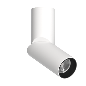 Накладной поворотный светильник под сменную лампу Ledron MJ1402 White-Black