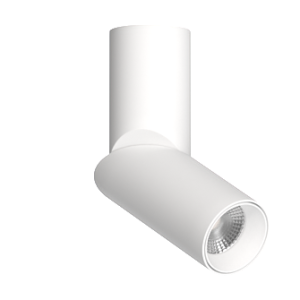 Накладной поворотный светильник под сменную лампу Ledron MJ1402 White