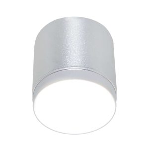 Потолочный светильник Полярный / Polar 1*GX53 12 Вт Потолочный светильник Technical C088CL-GX53-S