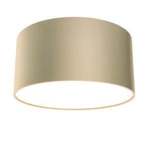 Потолочный светильник Зон / Zon 12 Вт 4000 К 120° Потолочный светильник Technical C032CL-L12MG4K