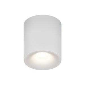 Потолочный светильник Искра / Spark 1*GU10 10 Вт Потолочный светильник Technical C094-GU10-W