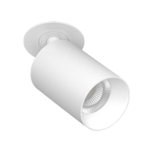 Светодиодный поворотный светильник SAGITONY R BASIC S60 White TRIAC 4000K