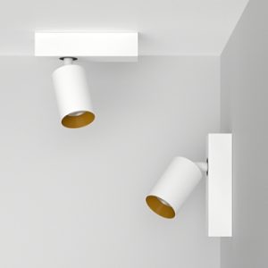 Накладной поворотный светодиодный светильник Ledron SAGITONY E S60 White-Gold 4000K