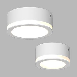 Накладной светодиодный светильник Ledron SDL10-R100-4200K White