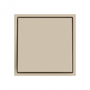 Выключатель одноклавишный звонкового типа