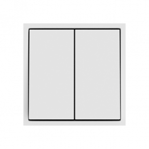 Выключатель двухклавишный звонкового типа