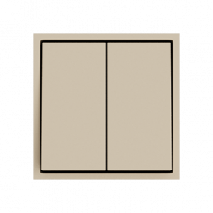 Выключатель двухклавишный звонкового типа